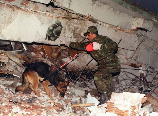 Deprem sonrası başlatılan arama kurtarma çalışmalarına katılan Türk askerleri ve arama kurtarma köpekleri.