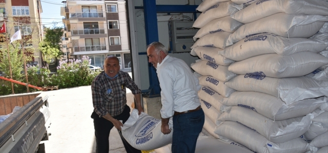 Boyabat ilçesinde çiftçilere 30 ton çeltik tohumu dağıtıldı