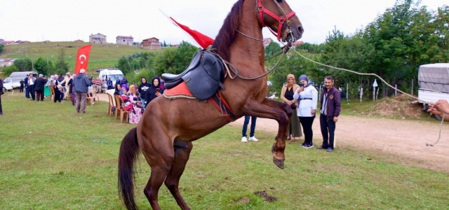 Çambaşı Yaylasında Renkli Festival