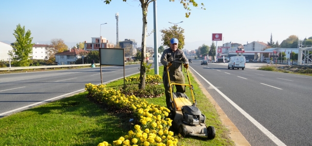 Düzce Belediyesi’nden Şehre Estetik Dokunuş