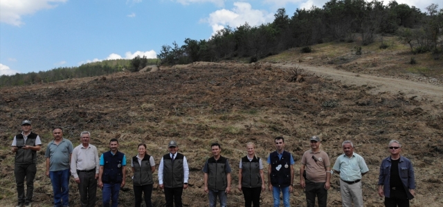 Kaymakam Saygılı, fidan dikim hazırlıklarıyla ilgili çalışmaları inceledi