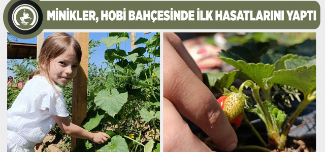 Minikler, hobi bahçesinde ilk hasatlarını yaptı