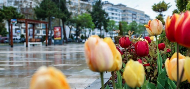 ORDU’NUN GÜZELLİĞİNE GÜZELLİK KATAN ÇALIŞMA