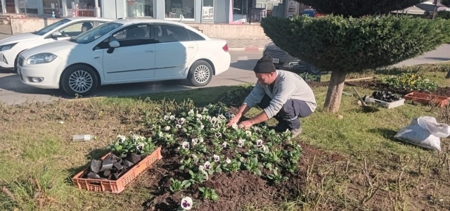 Refüj Ve Yeşil Alanlarda Bitki Dikimi Gerçekleşti