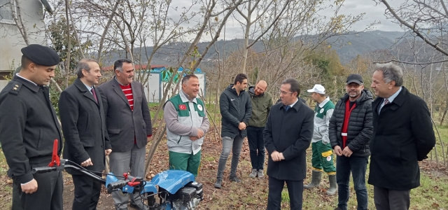 Samsun'da şehit yakını ile gazilerin fındık bahçelerinin bakımı ücretsiz yapılacak