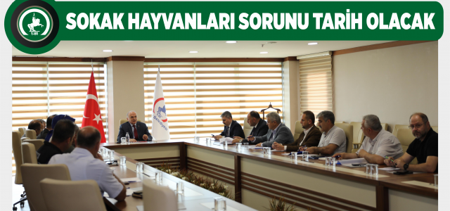 Sokak hayvanları sorunu tarih olacak