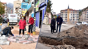 Belediye Başkan Vekili Hatice Işık Gürçınar, Çalışmaları İnceledi