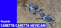 Dalyan'da Caretta Caretta heyecanı