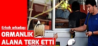 Erkek arkadaşı ormanlık alana terk etti