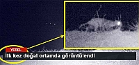 İlk kez doğal ortamda görüntülendi