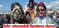 Sıfır otomobil fiyatına deve!