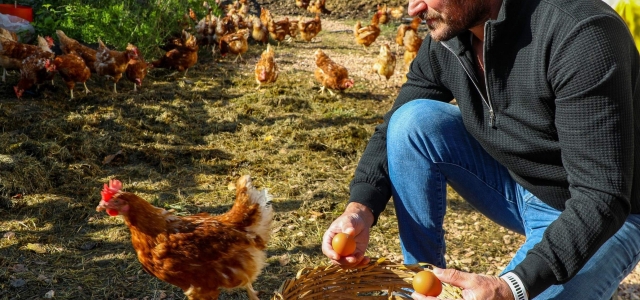 Yumurta Sektörü Başkan Güler Sayesinde Ayağa Kalktı